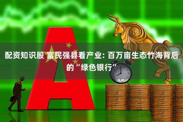 配资知识股 富民强县看产业: 百万亩生态竹海背后的“绿色银行”