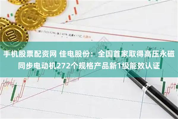 手机股票配资网 佳电股份：全国首家取得高压永磁同步电动机272个规格产品新1级能效认证