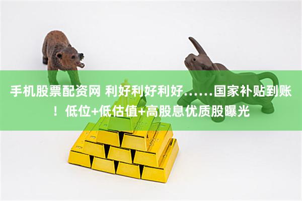 手机股票配资网 利好利好利好……国家补贴到账！低位+低估值+高股息优质股曝光